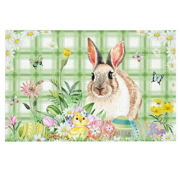 Binwennn Lite Blanket Furry Blanket Full Size New Hot Easter Floor Mats Home Entry Mats Holiday Decorative Door Mats Carpet 5