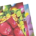 thumbnail image 2 of Colorbök Holidays Multicolor Designer Paper, 12"x12", 67 lb./100 GSM, 50 Sheets, 2 of 4