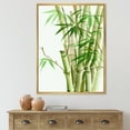 thumbnail image 2 of Designart 'Detail of Dark Green Bamboo and Leaves II' Traditional Framed Canvas Wall Art Print, 2 of 5