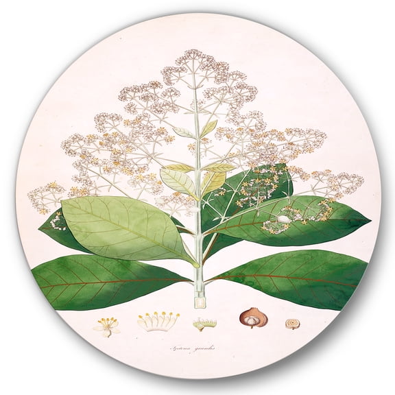 Designart 'Ancient London Plants III' Farmhouse Circle Metal Wall Art 36x36 - Disc of 36