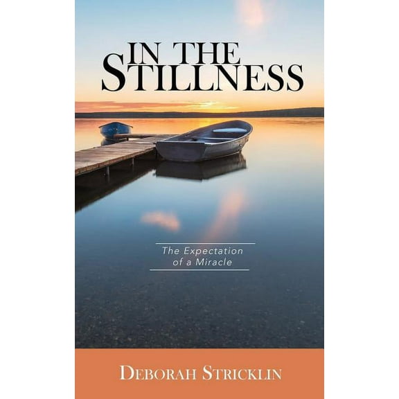In the Stillness (Paperback)