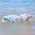 thumbnail image 2 of 【Salvavidas de verano】El diseño de tela de tres capas puede ayudar de manera continua y efectiva a que su perro se mantenga fresco y evite jadeos o golpes de calor., 2 of 5