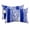 Blue, Navy, White, variant on Red Leopard Print Outdoor Pillows for Chaise Lounge Chair Waterproof Lumbar Pillows with Insert&Adjustable Strap Beach Headrest Pillow Abstract Vintage Animals Textured Srtipes Pool Pillow 11"x16"