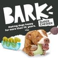 thumbnail image 2 of Juguete BARK Super Chewer Aurora Beast para Perro Grande, 2 of 8