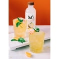 thumbnail image 7 of Bai Coconut Flavored Water, Puna Coconut Pineapple, Antioxidant Infused Drinks, 18 Fluid Ounce Bottles, 12 count, 7 of 7