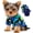 Stars, dinosaurs, variant on 2 Pieces Dog Sweaters for Small Dogs Girl Fleece Puppy Sweater for Chihuahua Yorkie Clothes Soft Warm Dog Clothes Doggie Pet Outfit Apparel Polka dots Leopard Print, Medium