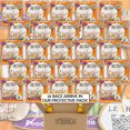thumbnail image 2 of Educational Snacks Bulk Pack - Food & Nutrition - 25 Individually Sealed 1oz Bags - Vanilla Sweetened, Whole Grain Recipe, Nut-Free, All Natural - Loaded With Learning in Cornershop Confections Pack, 2 of 3