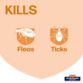 thumbnail image 2 of Hartz UltraGuard Flea and Tick Collar for Cats and Kittens, 7 Months Protection, 1 Collar, 2 of 8
