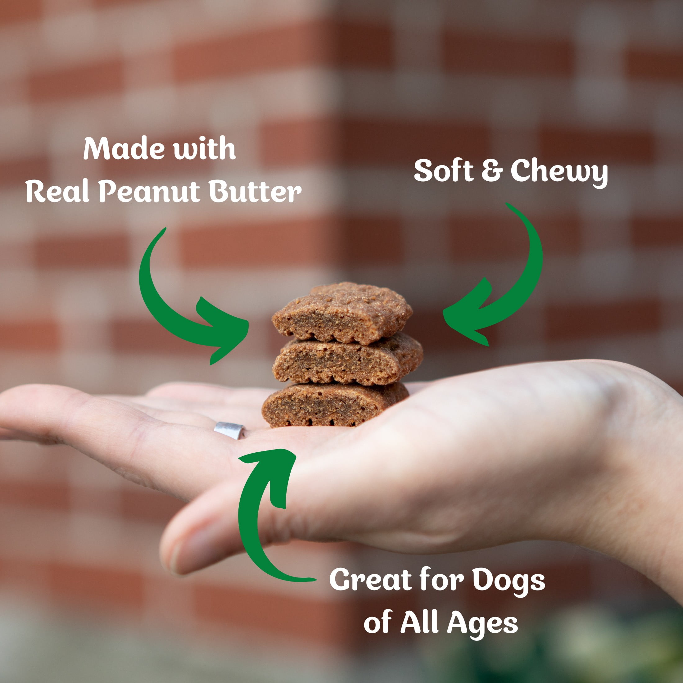 Peanut Butter Dog Best Healthy Dog Biscuits Dog Friendly Recipe