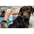 thumbnail image 2 of Vetericyn FoamCare Spray-On Dog Shampoo Plus Conditioner, 16 Fluid Ounces, 2 of 4