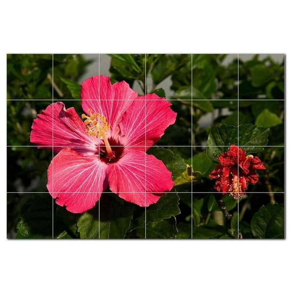 Flowers Usda Ceramic Tile Mural Kitchen Backsplash Bathroom Shower, 405072-M64