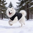 thumbnail image 3 of SIfdSeng Veste Gilet Petits Manteaux pour l'Hiver Temps Froid Veste Chaude Manteau Chiot Vestes Rouges Manteaux Chat, 3 of 7