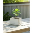 thumbnail image 2 of 30 x 22 x 15.5cm Square White Ceramic Flower Pot (2 Count), 2 of 5