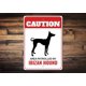 thumbnail image 1 of Señal de perro de caza ibicenca Señal de precaución para perros Amante del perro de caza Señales de raza de perro Regalo para perro de caza ibicenca Beezer Dog Gate Señal para perro Señal de metal, 1 of 4