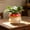 A, variant on Japceit Cute Belly Flower Pot,Colorful Pots With Drainage,Hand Paint Small Desk Cactus Pot,For Desk Home Decor