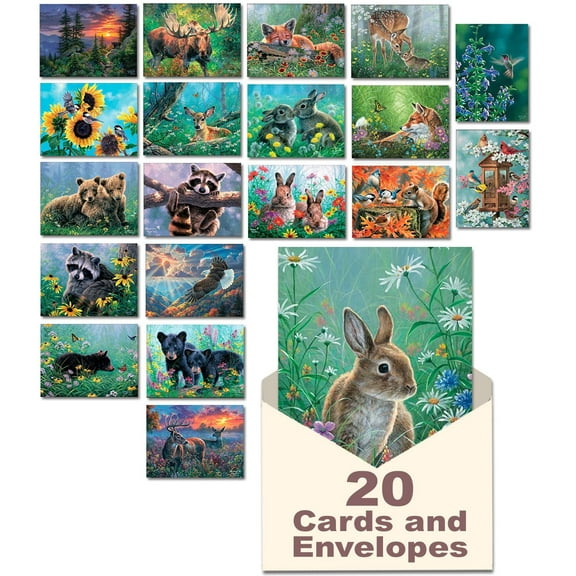 Leanin' Tree, Nature's Wonders, Greeting Cards Assortment Box, Assorted Cards with Envelopes, All Occasion, 20 Cards, 22 Envelopes