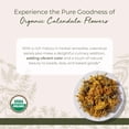 thumbnail image 2 of Té de hierbas Starwest Botanicals Calendula Flowers 454 g, 2 of 6