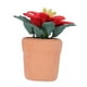 thumbnail image 1 of Bonsái En Miniatura Para Casa De Muñecas, Accesorios, Arcilla De Resina, Planta Para Casa De Muñecas, Decoración Del Hogar, Escala 1:12, Realista Para Coleccionista, 1 of 7