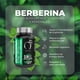 thumbnail image 4 of Berberina con Ácido Alfa Lipoico | Control de Glucosa y Energía, 4 of 5