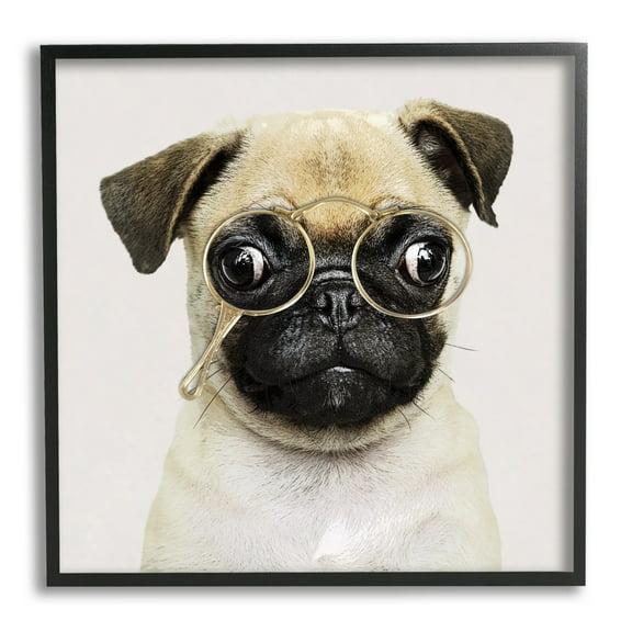 Stupell Fun Pug Vintage Glasses Animals & Insects Painting Black Framed Art Print Wall Art
