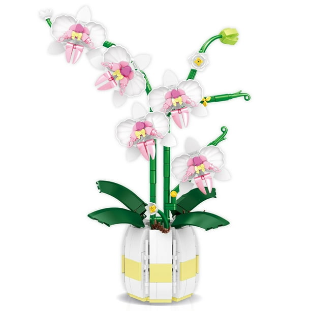 Ramillete de flores eternas, flores phalaenopsis, niña, bloques de construcción ensamblados, juguete para niña, regalo de San Valentín compatible