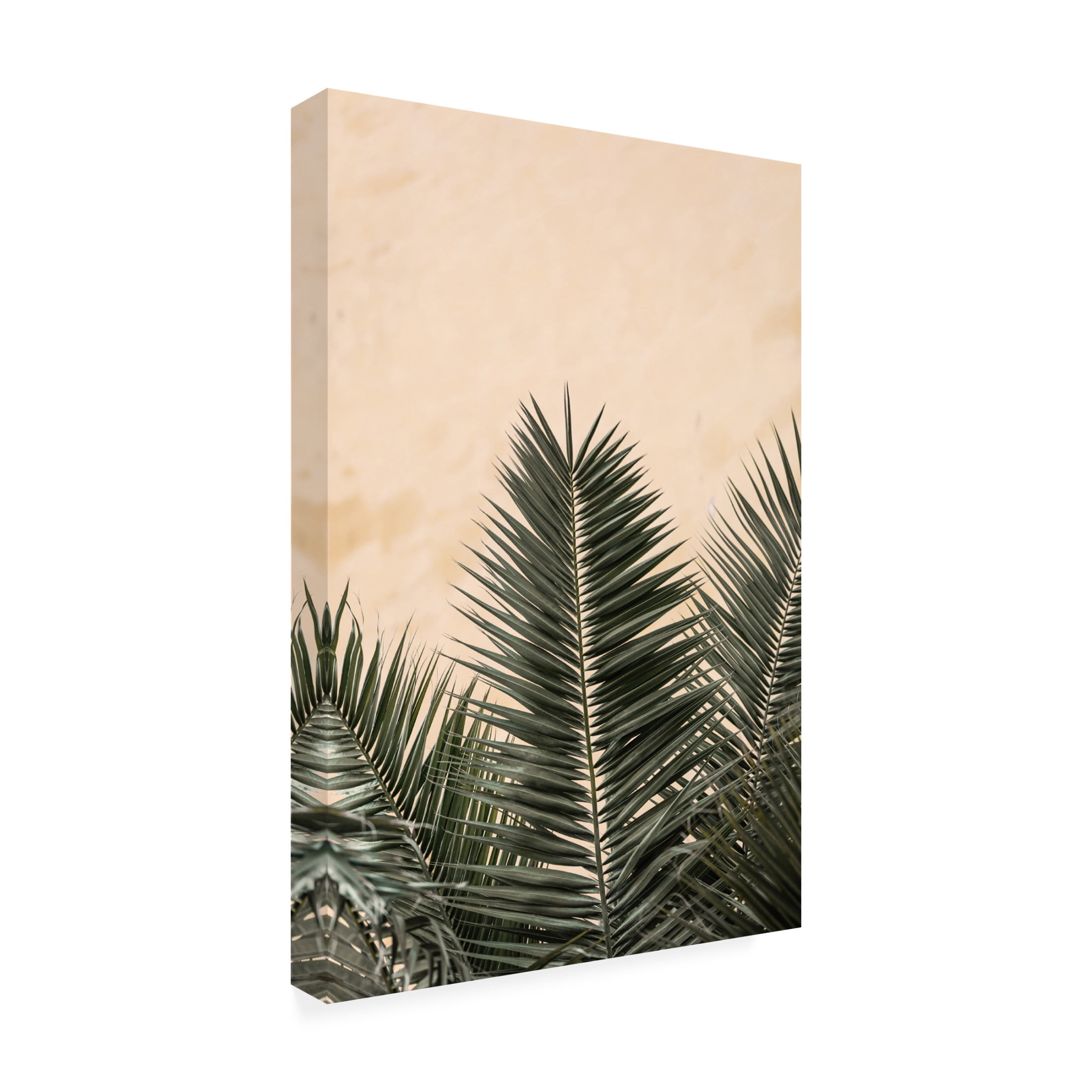 Trademark Fine Art Pictufy Studio Palm Leaves And Wall 1 Canvas Wall Art