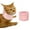 Pink, variant on Cat Neck Brace Cover - Breathable & Adjustable Elizabethan Collar for Post-Surgery Recovery Anti-Scratch Anti-Lick Protection, Cervical Cone for Small Medium Large Dogs Puppies Kittens (Small,Pink)