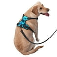 thumbnail image 2 of Fotbe World Turtle Day Pattern Dog Harness, No-Pull Pet Harness with 2 Leash Clips, Adjustable Soft Padded Dog Vest with Easy Control Handle for Large Dogs-X-Large, 2 of 6