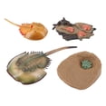 thumbnail image 4 of TISHITA Insect Lore Life Cycle - 4 Pcs Insect Figure Shows Life Eggs Baby Adulthood, 4 of 8