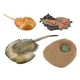 thumbnail image 5 of Juego de de para ,Material didáctico del ciclo de del cangrejo animal,Cangrejo de animal de imaginación congnitiva para Zulema Juego de crecimiento de insectos para niños, 5 of 8