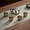 Silver, variant on Chinese Tea Set With Box Pure Titanium Tea Pot Tea Cup Set High Grade Heat Resistant Round Kung Fu Tea Puer Tea Set