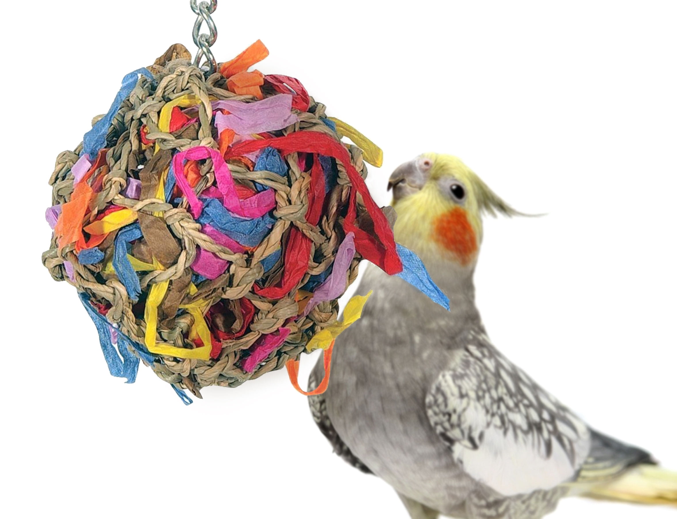 Parrot Pet Bird Bites Toy Chew Ball Toys Swing Cage Hanging Cockatiel ParakeNIC 