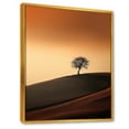 thumbnail image 2 of Designart "Abstraction Photography: Autumn Sunset" Minimalism Floater Framed Canvas Wall Art, 2 of 5