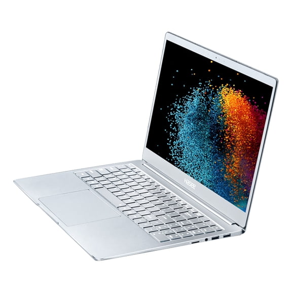 Hasee Kingbook X55A1 (15.6'', i5 10th gen, Aluminum), Thin Laptop Computer, Intel i5-1035G4 3.7GHz, 8G DDR4 RAM, 512G NVME SSD, 15.6'' FHD 72% NTSC IPS Display, Backlit Keyboard, Win 10, Star Sliver