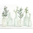 thumbnail image 2 of Jacobs, Cindy 14x12 Black Ornate Wood Framed with Double Matting Museum Art Print Titled - Bottles and Greenery I, 2 of 4