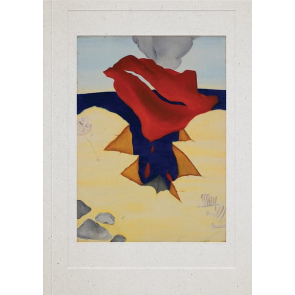 Cecilia Vicuña: Dreaming Water: A Retrospective of the Future (1964-...), (Paperback)