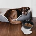 thumbnail image 4 of Cuenco de mascotas Antideslizante 15 ° Comida inclinada Potinaje Contenedor de agua con soporte elevado Protección Protección Piel de alimentación Hogar Pequeño Animales 1 tazón negro Advancent PT000726-03, 4 of 7