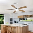 thumbnail image 7 of 52" Ceiling Fan with Led Light and Remote,5 Blades and 6 Speed Wind Control Dc Motor for Living Room,Bedroom,Kitchen, 7 of 7