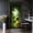 Color 3, variant on Door Stickers Peel and Stick Door Mural Elegant Wooden Double Doors Arched Frame Climbing Removable Wallpaper 30.3''x78.7'' Self-Adhesive Mural for Kitchen Living Room Bedroom Decor