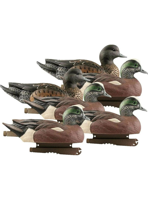 Duck Decoys in Decoys