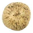 thumbnail image 2 of Vickerman Half Bleached Mayan Coconut 3" Wide, Real Preserved Coconut Decor for Home or Everyday Arrangements, 10 Pieces Per Pack, 2 of 5