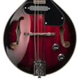 thumbnail image 4 of Stagg M50E Bluegrass Acoustic-Electric Mandolin - Redburst, 4 of 4