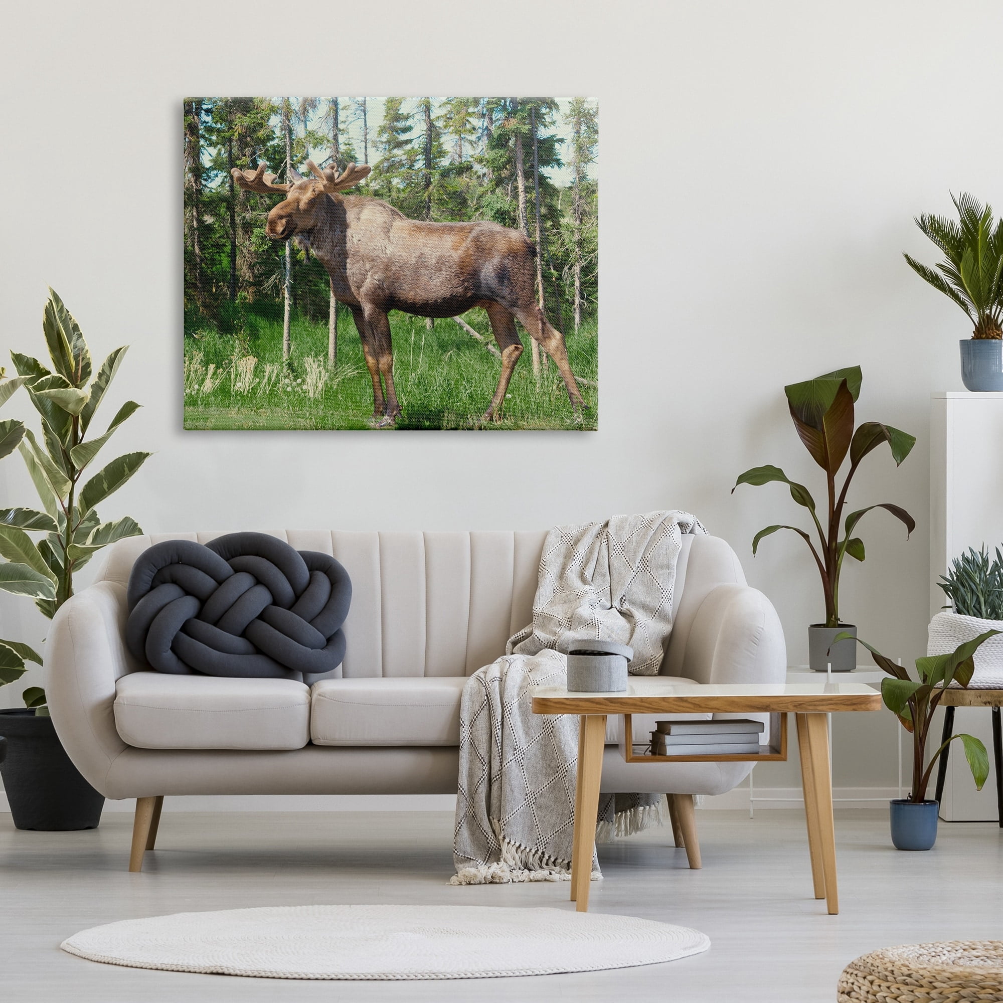 Stupell Moose Forest Grove Woodland Landscape Animals & Insects Photography Gallery Wrapped Canvas Print Wall Art