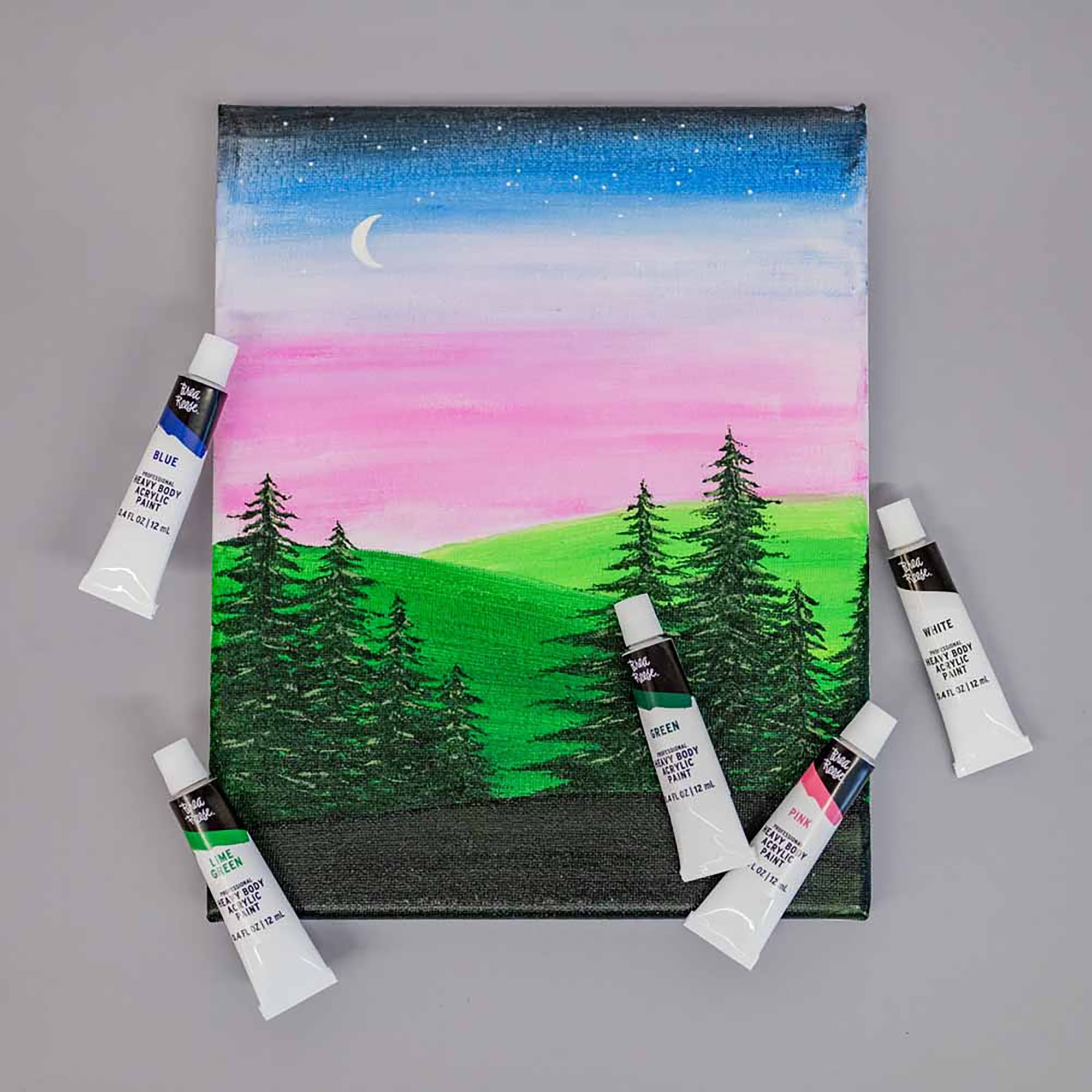 Professional Heavy Body Acrylic Paint Set - Classic Colors - 12 Tubes