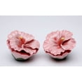 thumbnail image 3 of Ceramic Hibiscus Flower Salt and Pepper Shakers 2.5 Inch Gift, 3 of 3