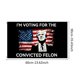thumbnail image 2 of Bandera de la cabeza de la bandera de la campaña presidencial 2024, 2 of 5