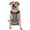 With Accessories, variant on Naloa Anchor Black Tartan Plaid Pet Harness Vest with Traction Rope, Adjustable No-Choke Dog Vest for Outdoor, Walking - Large