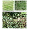 thumbnail image 4 of Labymos Cerca natural de la planta extensible, 4 of 8