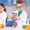thumbnail image 2 of Miangastore Self Assembling Display Stand Double Helix Model Human Genes Learning Toy Biological Teaching Aid, 2 of 8