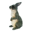 Michael Carr Designs MCD511010GY Peter Rabbit